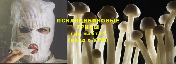 ГАЛЛЮЦИНОГЕННЫЕ ГРИБЫ Алзамай