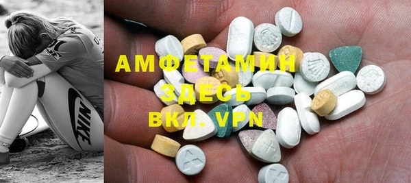 ГАЛЛЮЦИНОГЕННЫЕ ГРИБЫ Алзамай