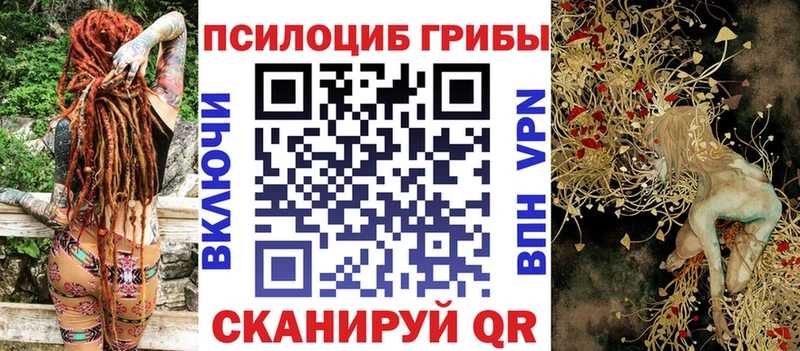 shop какой сайт  Байкальск  Псилоцибиновые грибы Psilocybe  купить  сайты 